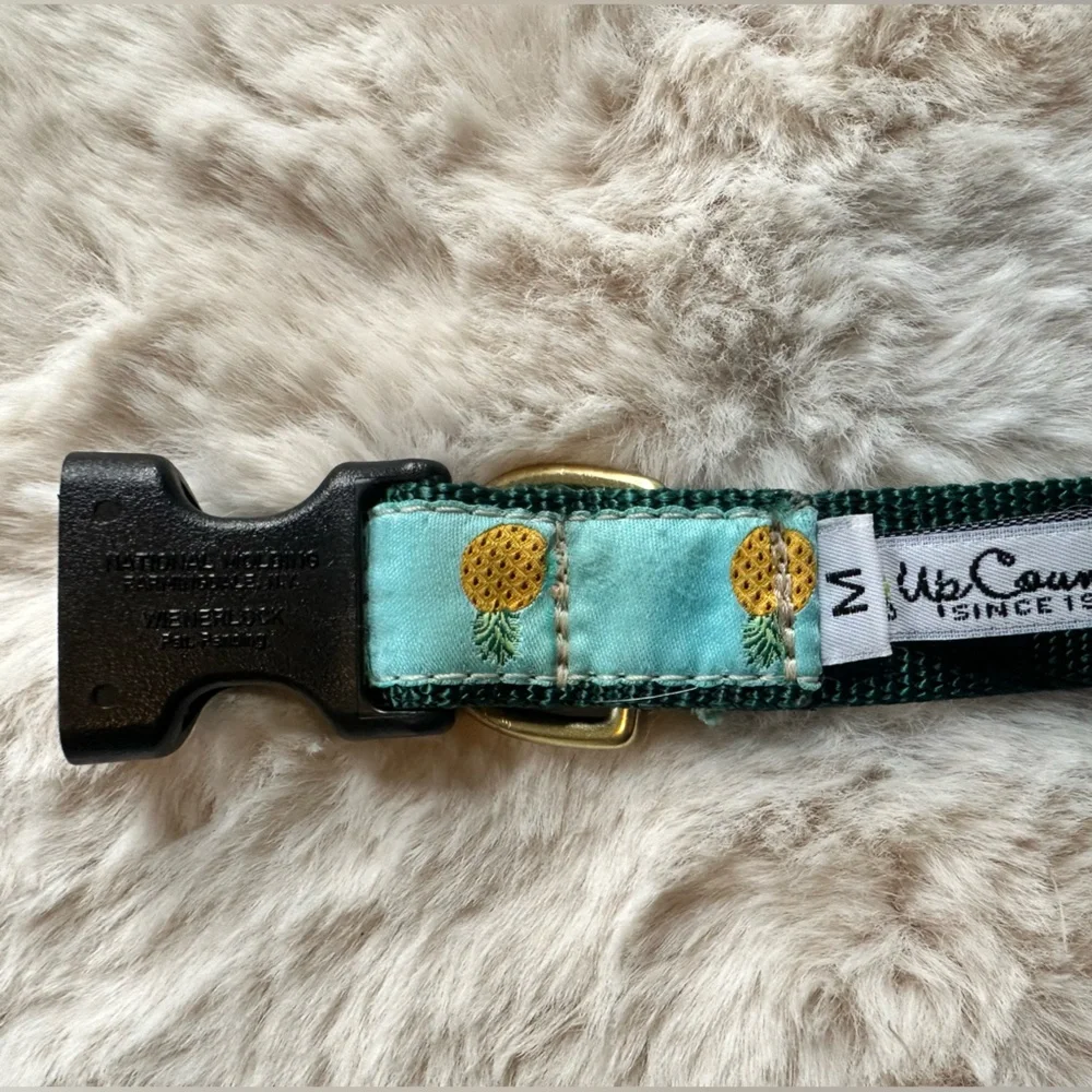 Up Country Pineapple Dog Collar - Size Medium